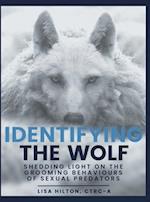 Identifying The Wolf: Shedding Light on the Grooming Behaviours of Sexual Predators 