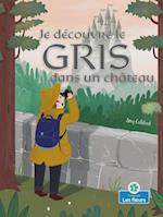 Je Découvre Le Gris d'Un Château