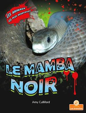 Le Mamba Noir