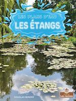 Les Étangs