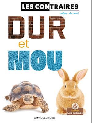 Dur Et Mou