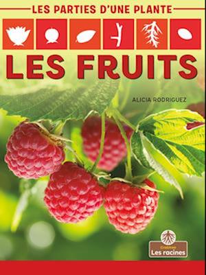 Les Fruits