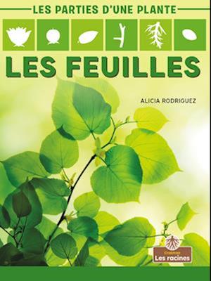 Les Feuilles