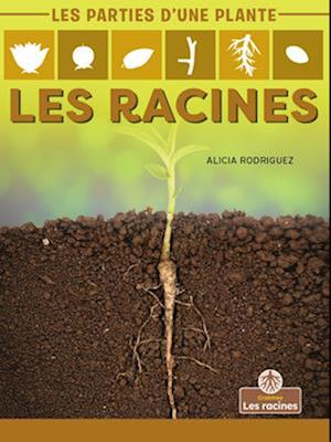 Les Racines