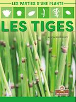 Les Tiges