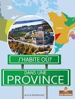 Dans Une Province