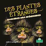 Des Plantes Effrayantes Mais Intéressantes