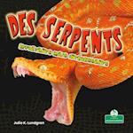 Des Serpents Effrayants Mais Intéressants