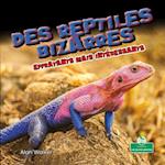 Des Reptiles Bizarres Et Effrayants Mais Intéressants