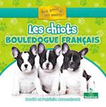 Les Chiots Bouledogue Français