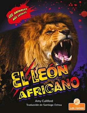 El León Africano