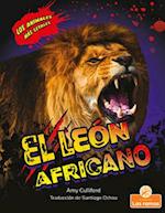 El León Africano