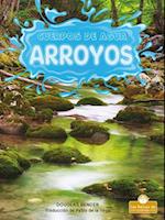 Arroyos