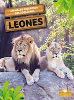 Leones