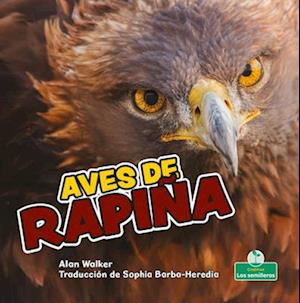 Aves de Rapiña