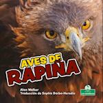 Aves de Rapiña