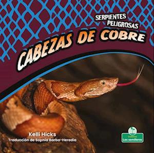 Cabezas de Cobre