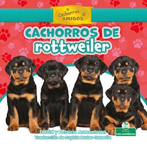 Cachorros de Rotweiler