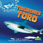 Tiburones Toro