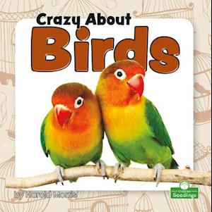 Crazy about Birds