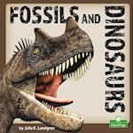 Fossils and Dinosaurs