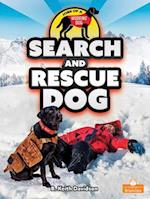 Search and Rescue Dog