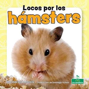 Locos Por Los Hámsters