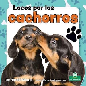 Locos Por Los Cachorros