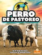 Perro de Pastoreo