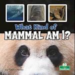 What Kind of Mammal Am I?