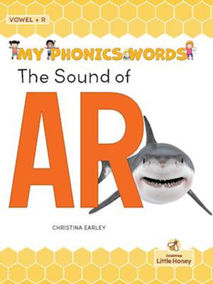 The Sound of AR