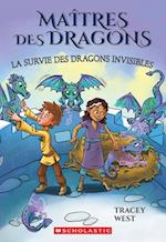 Maîtres Des Dragons