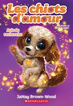 Les Chiots d'Amour