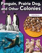 Penguin, Prairie Dog, and Other Colonies