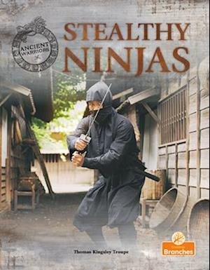 Stealthy Ninjas