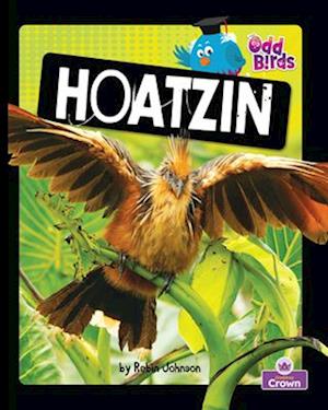 Hoatzin