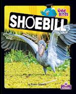 Shoebill