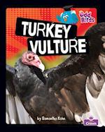 Turkey Vulture