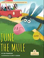 June the Mule