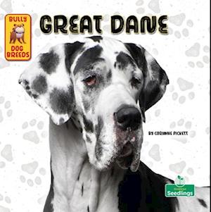 Great Dane