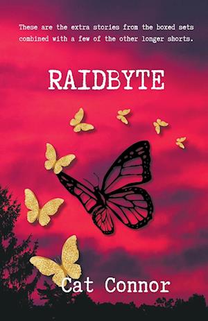 Raidbyte