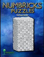 Numbricks Puzzles