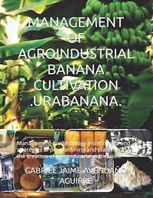 MANAGEMENT OF AGROINDUSTRIAL BANANA CULTIVATION .URABANANA.: Management methodology instruments and strategies of programming and planning in the cre