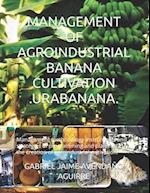 MANAGEMENT OF AGROINDUSTRIAL BANANA CULTIVATION .URABANANA.: Management methodology instruments and strategies of programming and planning in the cre