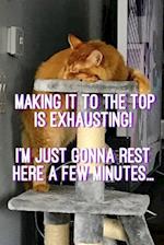 Making It to the Top Is Exhausting!