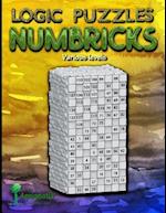 Logic Puzzles Numbricks