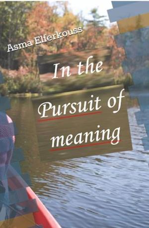 In Pursuit of Meaning