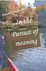 In Pursuit of Meaning