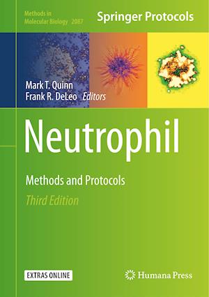 Neutrophil