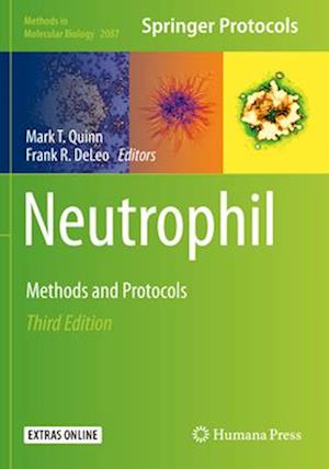 Neutrophil